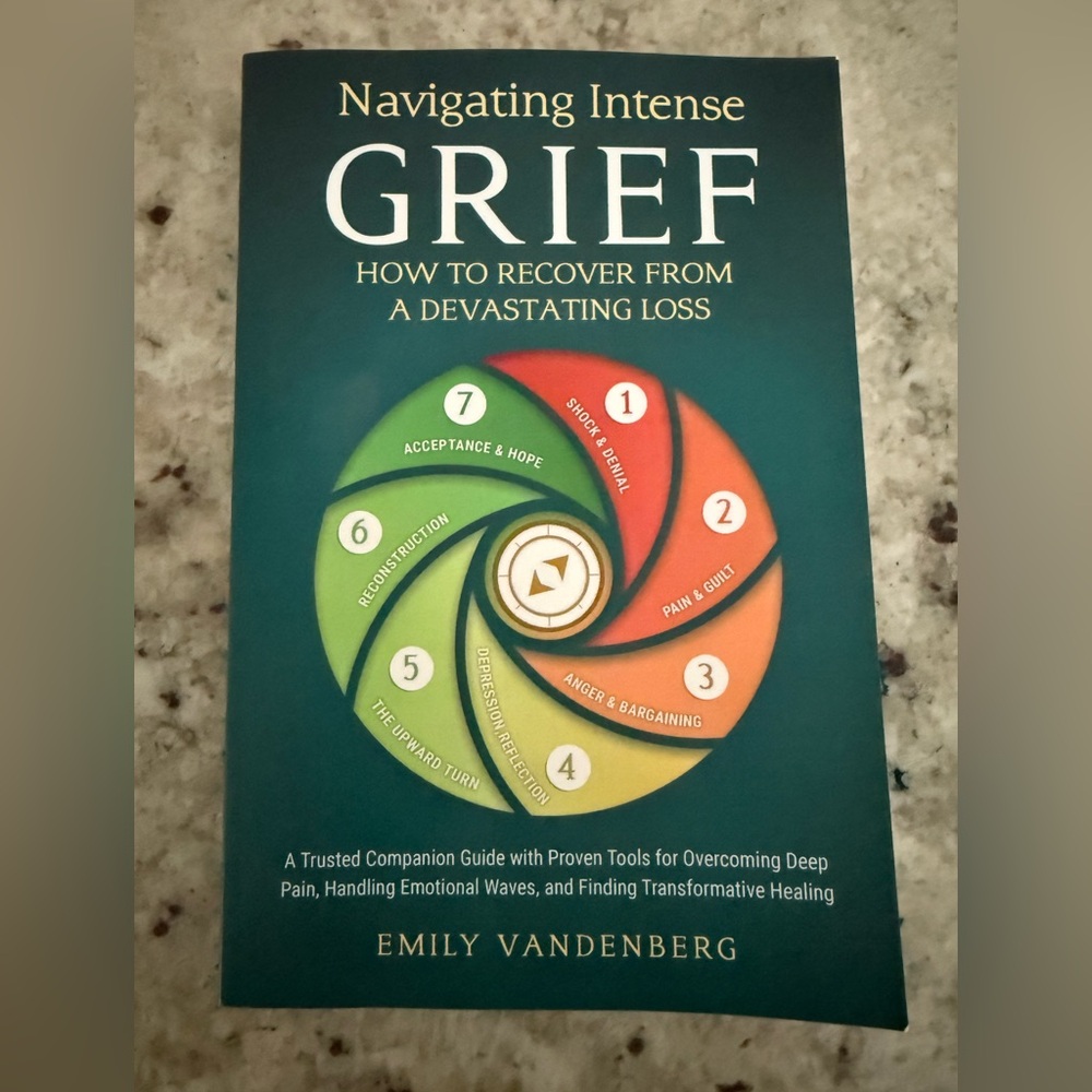 Navigating Intense Grief Book by Emily Vandenberg